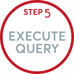 execute query